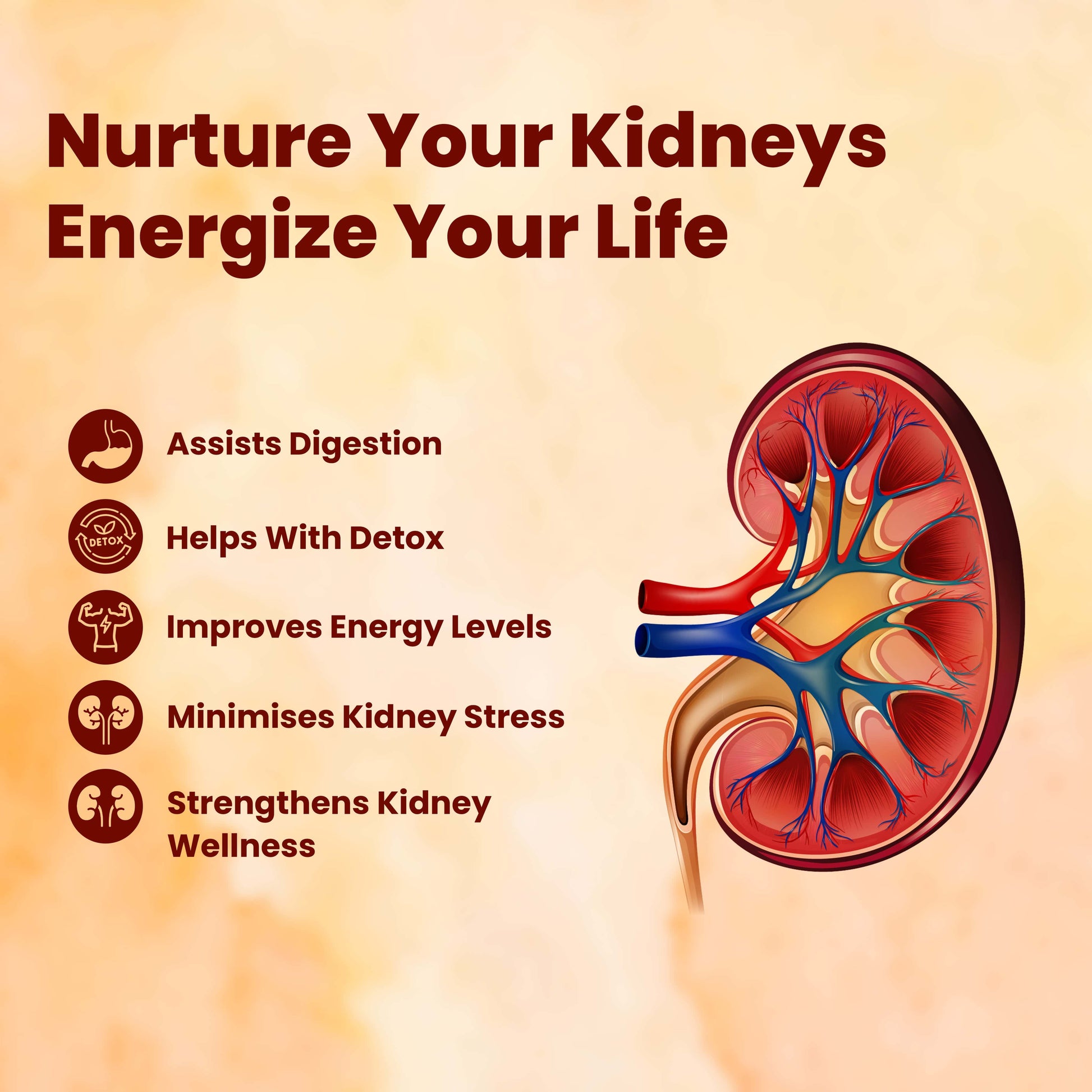 Kidney Care benefits for detox digestion and energy