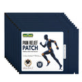 Jeena Sikho herbal body pain relief patch multipack of 3