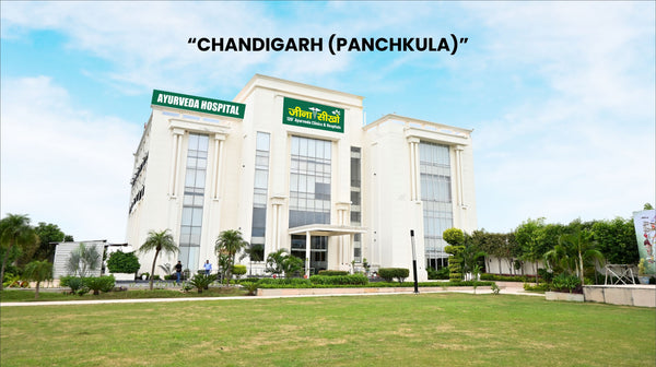 Shuddhi Ayurveda Panchakarma Hospital (Shuddhigram Panchkula)