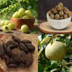 Pet Yakrit Pleeha Herbs (Amla, Harad, Baheda)