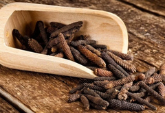 Pippali (Long Pepper Root)