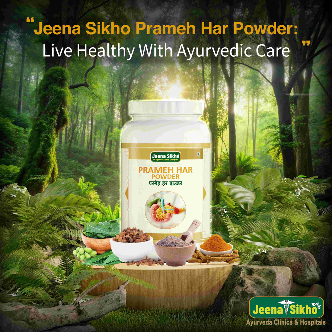 Prameh Har Powder | 100 gm - Jeenasikho Shop