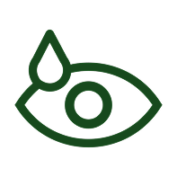Promotes Overall Eye Wellness