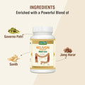 Relivon Powder | 100 gm - Jeenasikho Shop