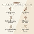Relivon Powder | 100 gm - Jeenasikho Shop