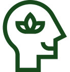Improves Cognitive Function