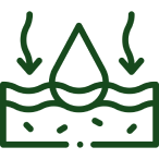 Reduces Inflammation