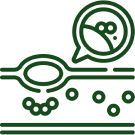 Regulate Cholesterol Levels