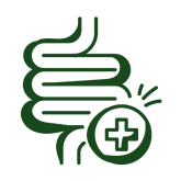 Rich in Antioxidants