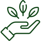 Safe for Regular Use