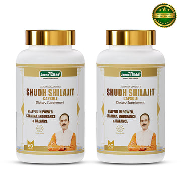 Shudh Shilajit Capsules | Ayurvedic Energy & Stamina Support Supplement for Men and Women | For Strength, Endurance & Daily Balance