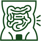 Strengthens Gut Health