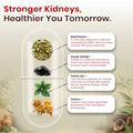 Kidney Care with Gokhru, Shilajit and herbal ingredients