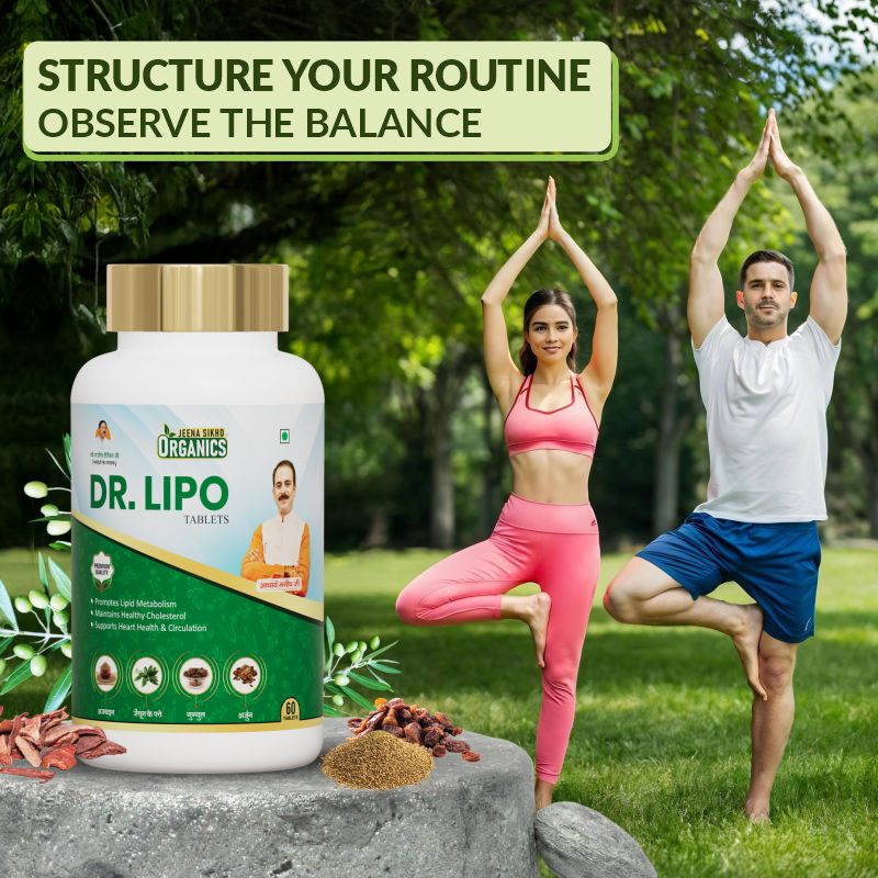 Heart Care Dr Lipo with cholesterol wellness support