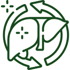 Supports Digestive & Gut Health