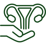 Supports Reproductive Wellness