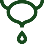 Supports Urinary Tract Health