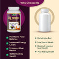 Kidney Care GFR Powder vs regular herbal powder