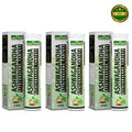 Ayurvedic Ashwagandha Supplement by Jeena Sikho in effervescent tablets format supporting daily vitality and wellness