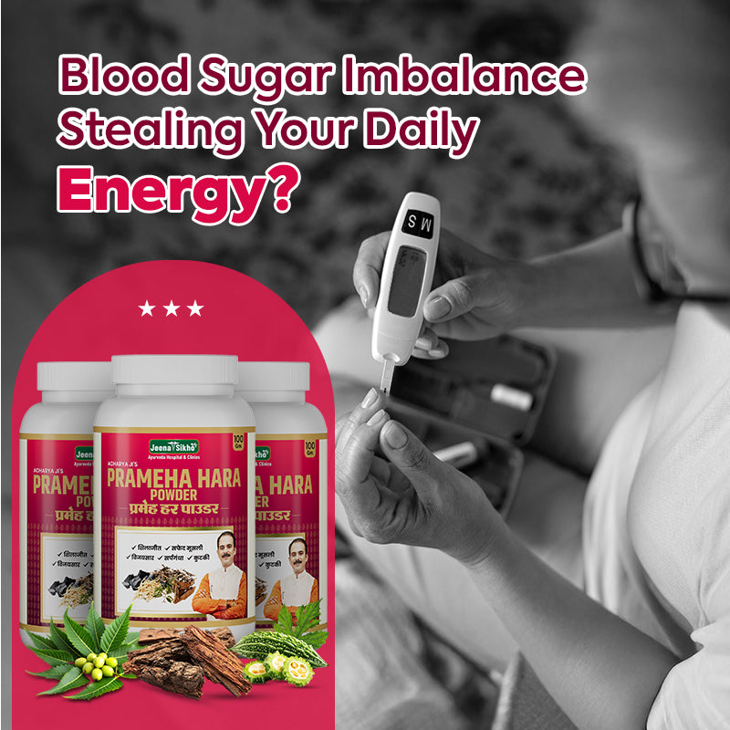 Prameha Hara Powder Ayurvedic blood sugar support with herbal ingredients for energy balance, metabolism and daily wellness