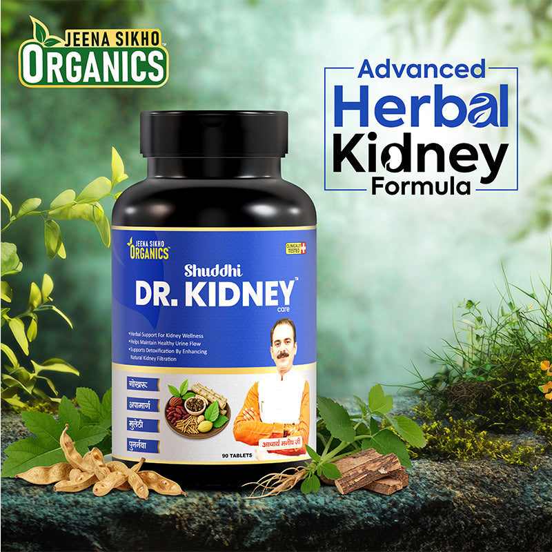 Ayurvedic medicine for kidney Dr. Kidney herbal formula supporting kidney function and urinary wellness