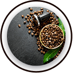 Coffee Bean