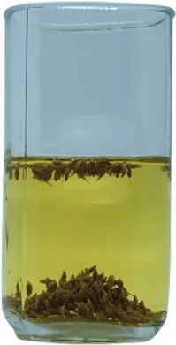 Cumin in INJK Water