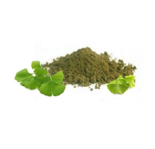 Ginkgo Biloba