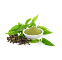 Green Tea Extract