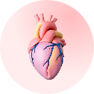 Heart Care