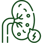 Minimizes Inflammation