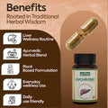 Livchronic Ayurvedic Liver Wellness Supplement benefits with herbal blend, plant-based formulation and daily liver care support