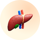Liver Care
