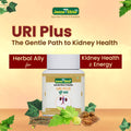 natural kidney detox