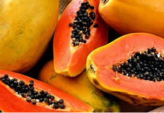 Papita (Papaya)