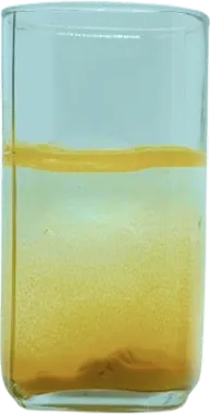 Turmeric in Normal Water