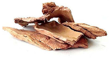 Varun Chaal